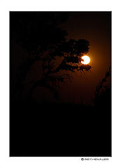 photo "Moon over Corse I"