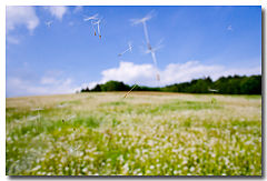 фото "Went out into the big wide world"