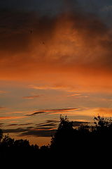 photo "***"