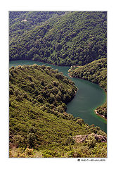 photo "Allesani River"