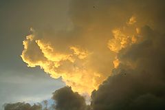 фото "Clouds"