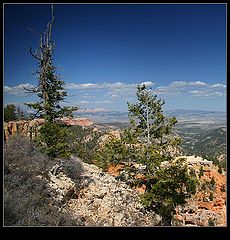 photo "Bryce Canyon's View"