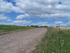 photo "Fild road"