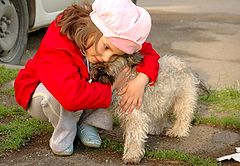 photo "my only friend"