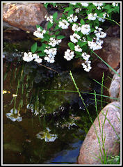 photo "About water"