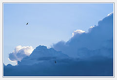 photo "***"