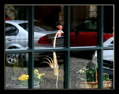photo "***"