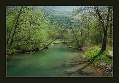 photo "Legende du Marais"