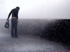 photo "Water games. Part II"