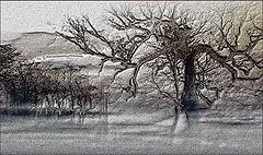 photo "***"