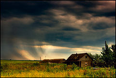 photo "Summer rain"