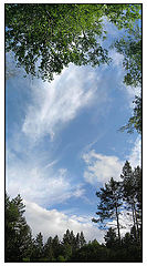 photo "***"