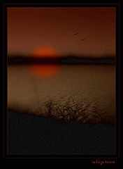 фото "sweet memories"