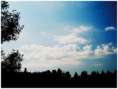 photo "***"