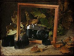 photo "###"
