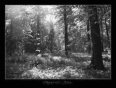 photo "***"