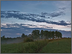 photo "After a rain"