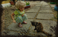 photo "***"