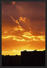 photo "Two steps to the sun.."