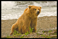 photo "Nothing Like a Day at the Beach"