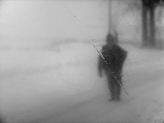 фото "alone"