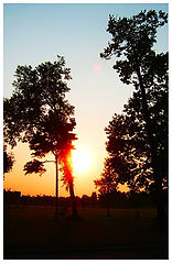 photo "***"