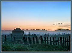 photo "At dawn"