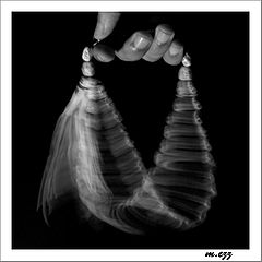 фото "Taspee7 I"