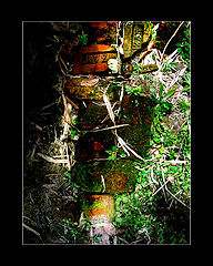 photo "old"