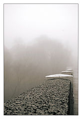 фото "Fog"
