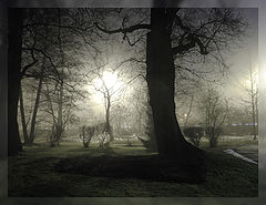 фото "Wintergarten"