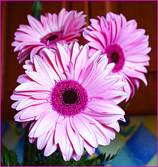 photo "Pink"