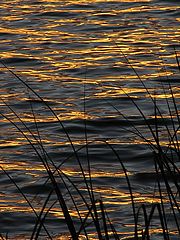 photo "By the ending of the day"