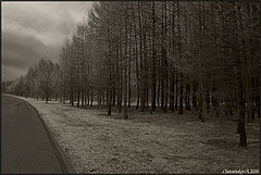 фото "Серость"