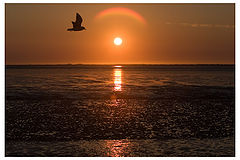 photo "Dream on..."