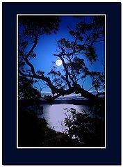 фото "Moon."