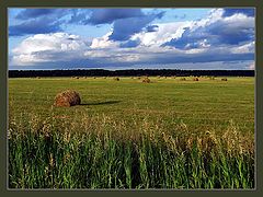 photo "***"
