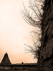 photo "***"