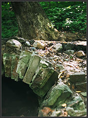 photo "Wood hiding place"