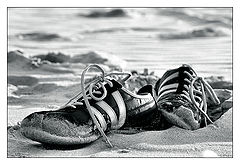 photo "***"