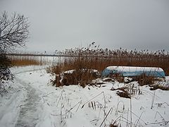 фото "Выход к озеру"