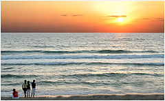 photo "The sunset"