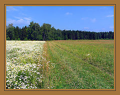 фото "Зарисовка русской природы"