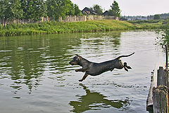 photo "Jump!"