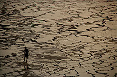 photo "milfontes"