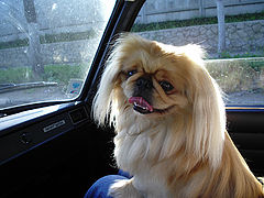 photo "let's go !!!"