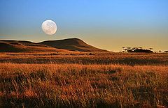 photo "the moon face"