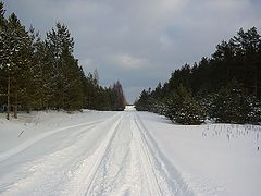 фото "Дорога в никуда"