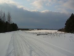 фото "Снежный фронт"
