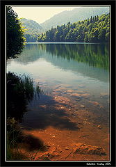 photo "***"